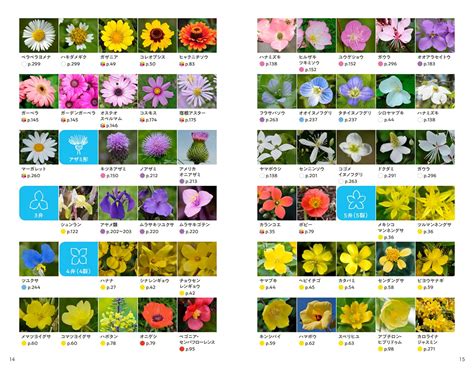 花 種類|【花図鑑】花の種類・育て方・増やし方